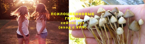 ALPHA PVP Верхний Тагил