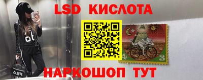 прущие крисы Сланцы