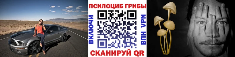 Галлюциногенные грибы Psilocybine cubensis  Рузаевка 