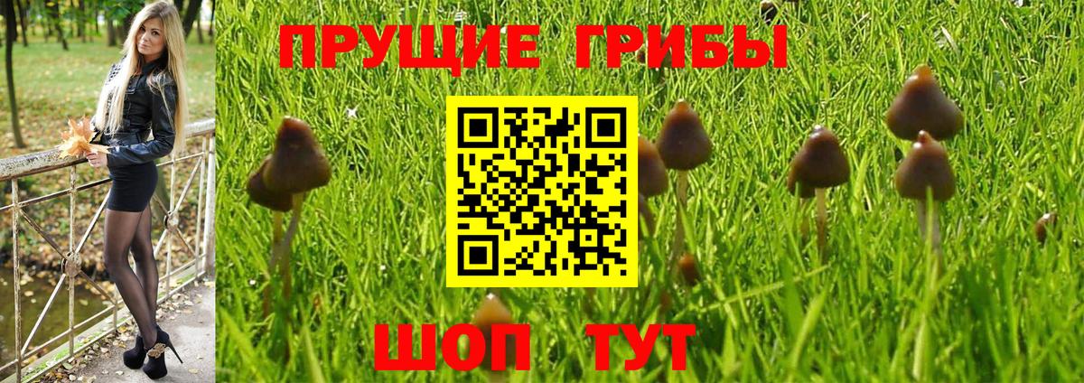 Псилоцибиновые грибы Psilocybine cubensis  Псилоцибиновые грибы Psilocybine cubensis  Рузаевка  Вход с VPN 