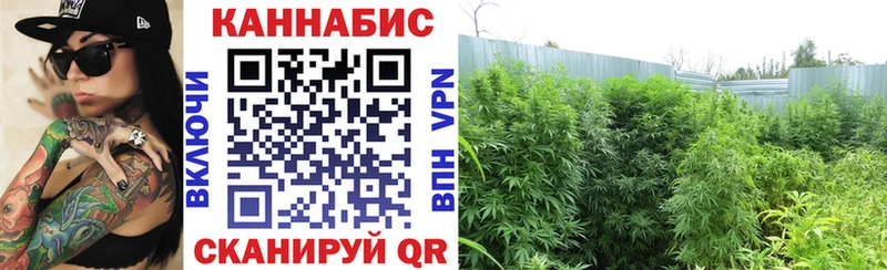 Бошки Шишки SATIVA & INDICA  ссылка на мегу маркетплейс  это Telegram  Рузаевка 
